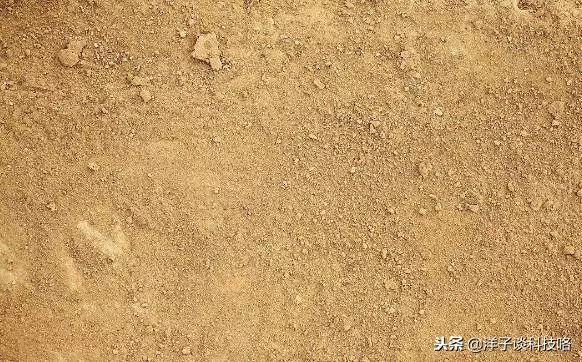 如果將沙漠的沙子全部挖走,底下有什麼東西?科學家:或有古建築