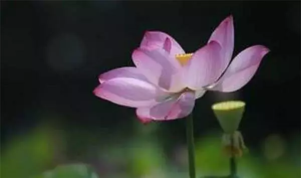 佛說世間夫妻的前世今生因果!想要家庭關系和諧的人必須看!