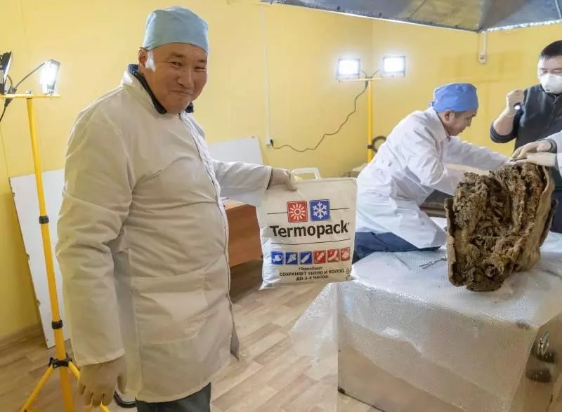 科學家挖出凍土裡的猛瑪象 震撼宣布「只差一步」20年內就能完全復活