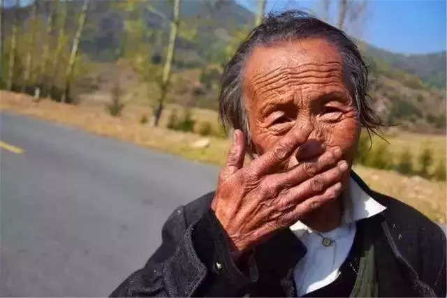 狗狗每天幫年老主人運柴,彼此相依為命,老人憂心狗狗未來