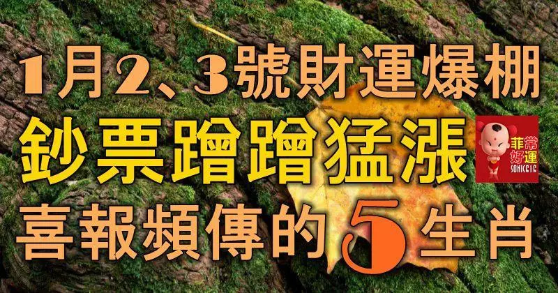 1月2、3號財運爆棚,鈔票蹭蹭猛漲,喜報頻傳的5大生肖!