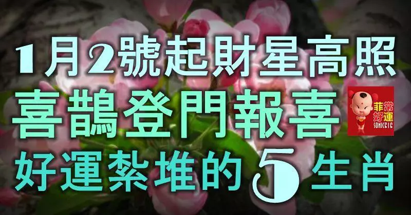 1月2號起財星高照,喜鵲登門報喜,好運紮堆的5大生肖!