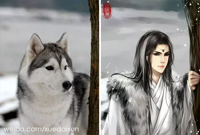 月月怎麼可以那麼帥 22張「貓狗擬人化」激萌對比圖