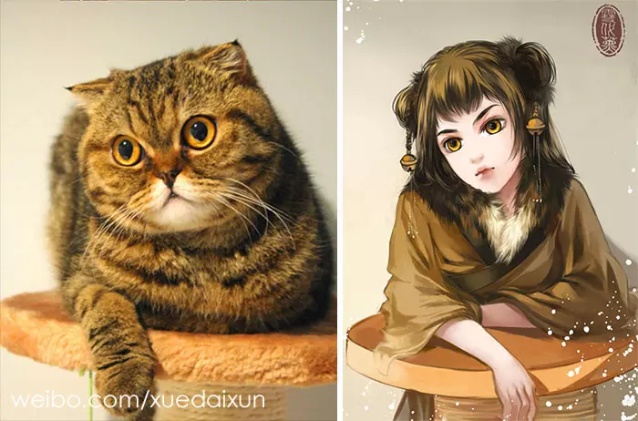 月月怎麼可以那麼帥 22張「貓狗擬人化」激萌對比圖