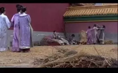 真實的「冷宮」比電視劇演的更可怕!明代的廢妃竟被發配到「宮牆夾道」自生自滅