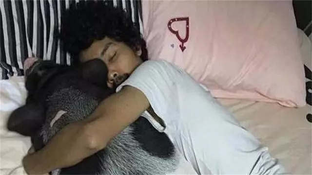 外國帥哥瘋狂「愛上一頭母豬」,不顧家人的反對堅持和母豬結婚,婚後生活讓人直呼:好甜蜜