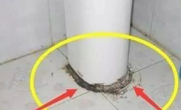 家裡的玻璃膠發霉「變黑」?裝修師傅支一招,輕輕一擦,不髒手乾淨又除菌,很管用