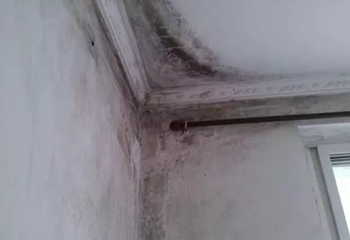 牆面起皮開裂起霉不用再找裝修工,老師傅教你一招,誰都能修補好