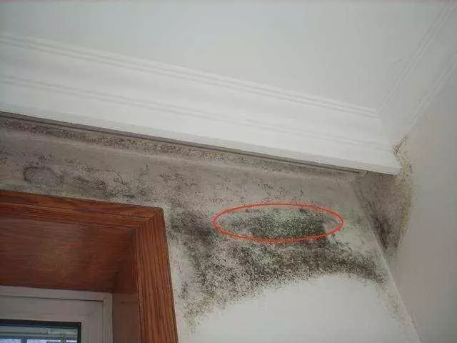 牆面起皮開裂起霉不用再找裝修工,老師傅教你一招,誰都能修補好
