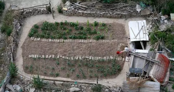 大爺菜地翻土,挖出「大量白色石頭」,被人高價收回,大爺卻突然感到心慌