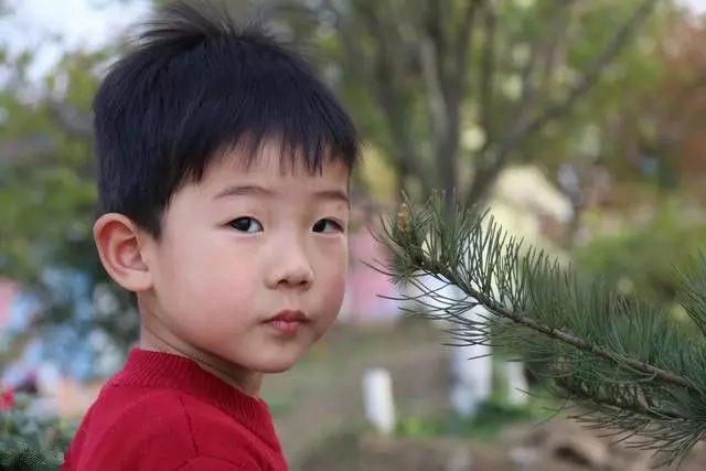 五歲男寶放學去買雪糕一去不回,十八年後一杯豆漿,兒子認出親媽