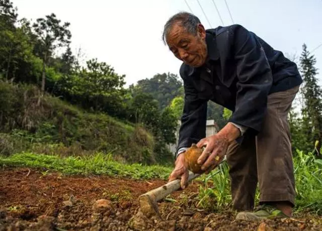 老人去世留下三萬債款,親兒子說不關他事,繼子還清後來了驚喜