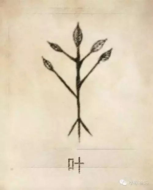 你一定沒見過,自己的姓氏圖騰原來是這樣的