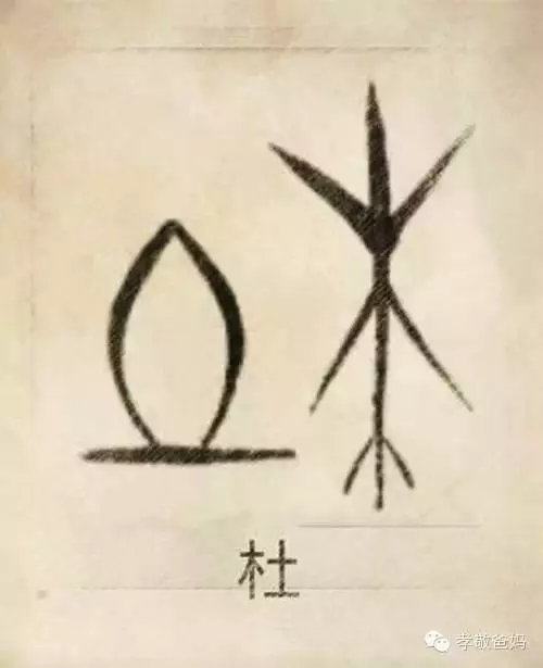 你一定沒見過,自己的姓氏圖騰原來是這樣的