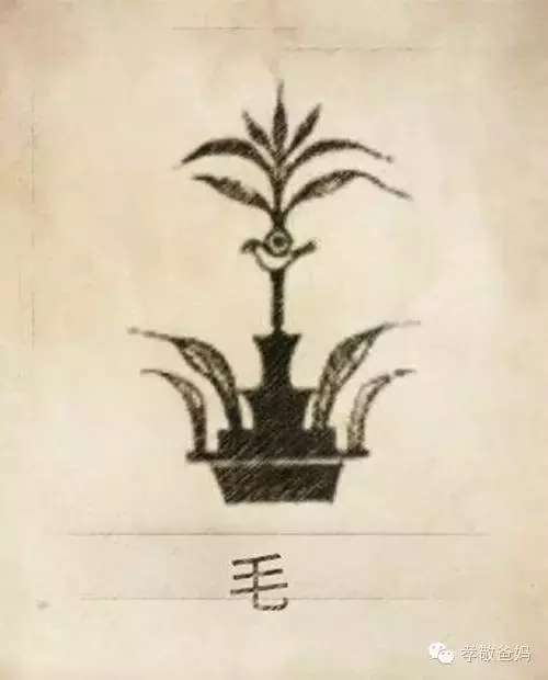 你一定沒見過,自己的姓氏圖騰原來是這樣的