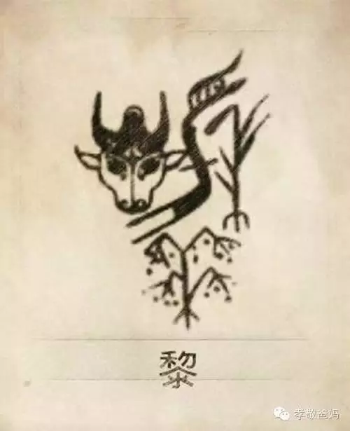 你一定沒見過,自己的姓氏圖騰原來是這樣的