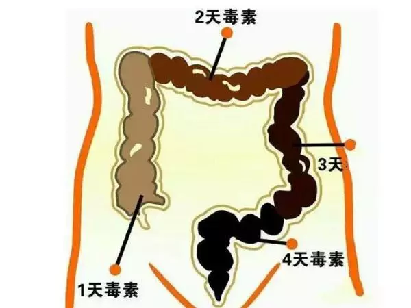 經常放屁 可能是腸道發出的信號?多吃3種菜 腸道越來越好