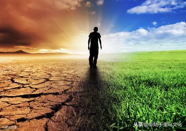 來自哈佛的20個建議:活在當下,做你想做的事情(好文推薦)