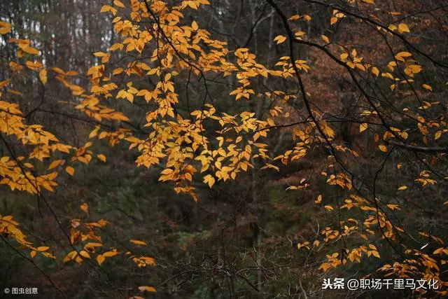 來自哈佛的20個建議:活在當下,做你想做的事情(好文推薦)