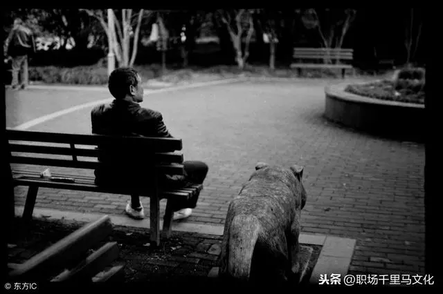 來自哈佛的20個建議:活在當下,做你想做的事情(好文推薦)
