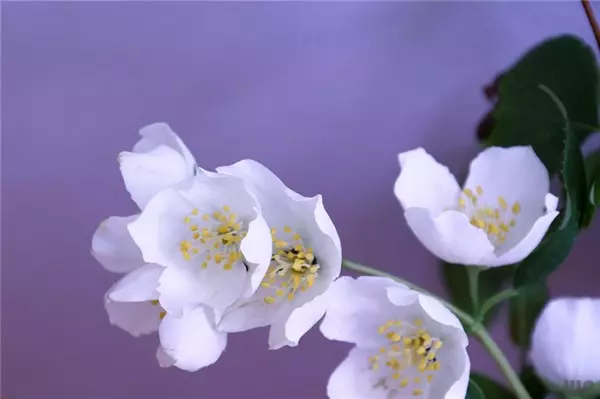 人在落魄時,做好這三件事,才能鹹魚翻身