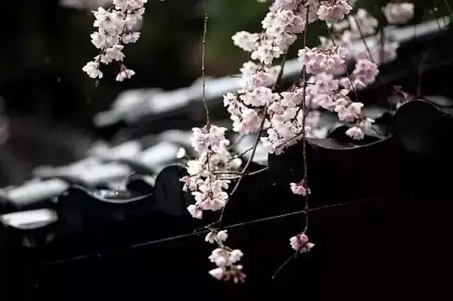 管理情緒是一種能力,學會發泄,更是一種能力
