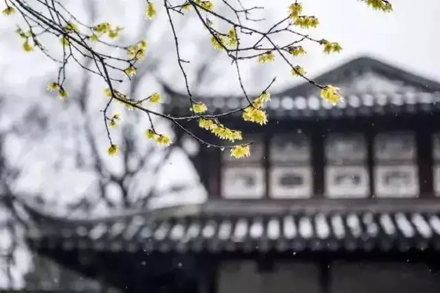 管理情緒是一種能力,學會發泄,更是一種能力