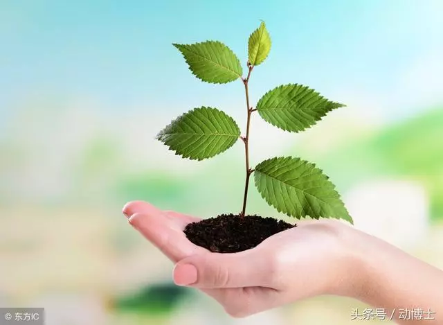 無論你孩子多大,都該把這些話轉給他看看,早看早受益!