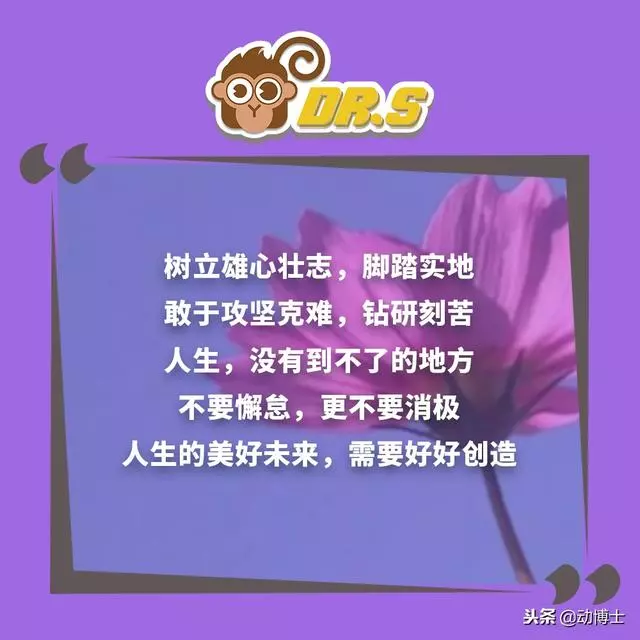 無論你孩子多大,都該把這些話轉給他看看,早看早受益!