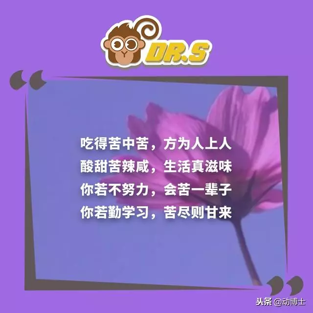 無論你孩子多大,都該把這些話轉給他看看,早看早受益!
