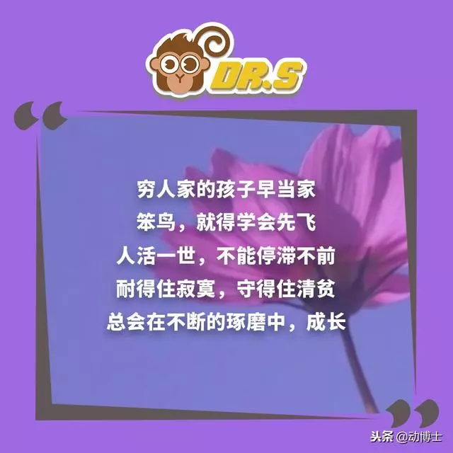 無論你孩子多大,都該把這些話轉給他看看,早看早受益!