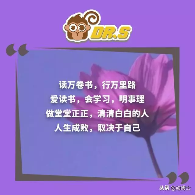 無論你孩子多大,都該把這些話轉給他看看,早看早受益!