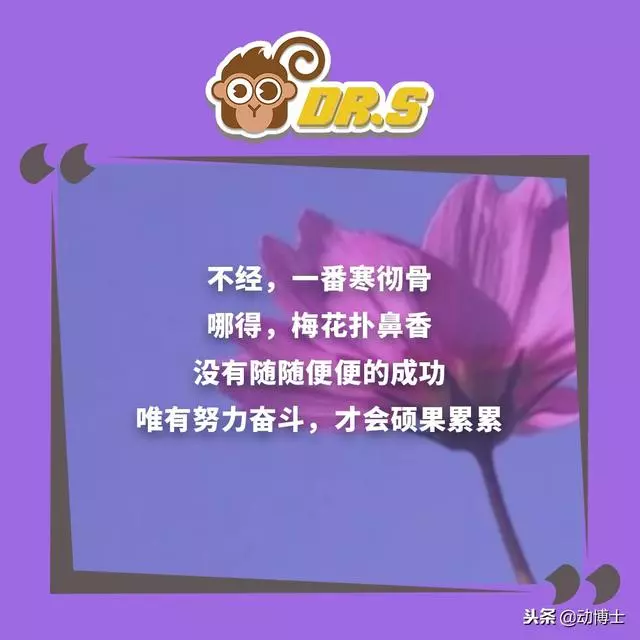 無論你孩子多大,都該把這些話轉給他看看,早看早受益!