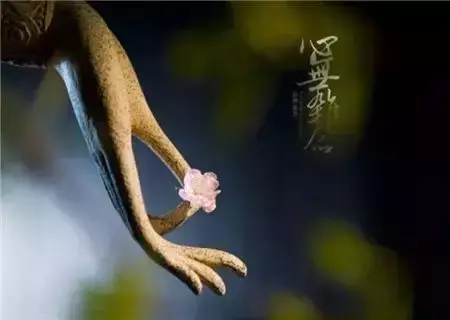舍+得!(一定要讀)