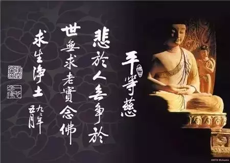 舍+得!(一定要讀)