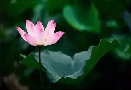 舍+得!(一定要讀)