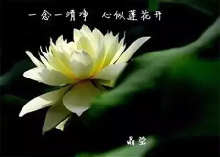 舍+得!(一定要讀)