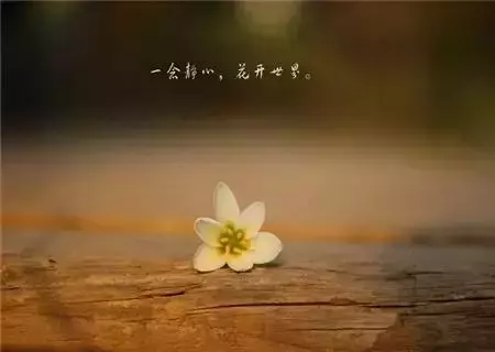 舍+得!(一定要讀)