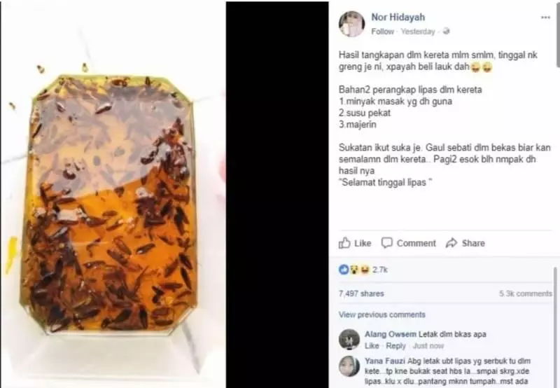 車裡出現蟑螂?網友教你一招「完美解決」!收藏起來以後一定有用到!