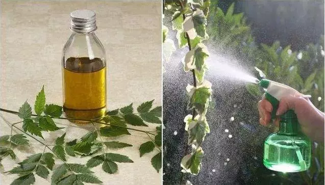 汽車大燈發黃模糊先別換,老司機教你兩招,大燈瞬間變成新的,好聰明啊