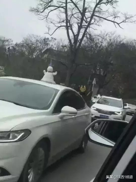 南方人在街頭「賣雪」了!5元一盆20元一桶(就是剛下的那種雪)