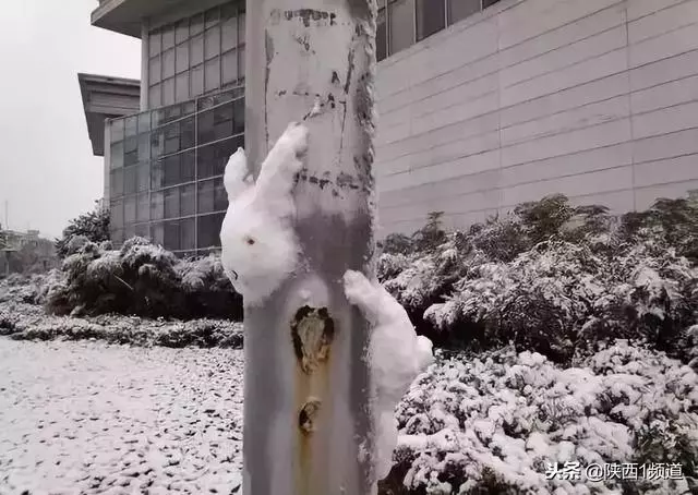 南方人在街頭「賣雪」了!5元一盆20元一桶(就是剛下的那種雪)