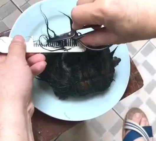 男子在海邊撿到一隻「綠毛龜」,將烏龜毛髮剪掉後,才知闖禍了!