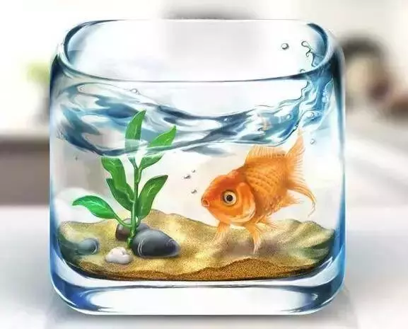 過年別送這6樣東西，別人送也不能要，不然大小災難纏著你！