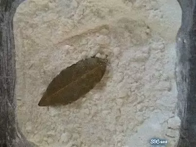 蟲蟲總是滅不完?7種「在家就能DIY」超天然除蟲妙招 蟑螂螞蟻通通bye~
