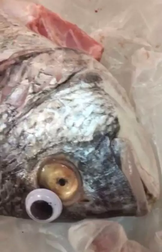 把客人當笨蛋!店家「魚眼上貼動動眼」騙hen新鮮 客:以為我們都瞎了?