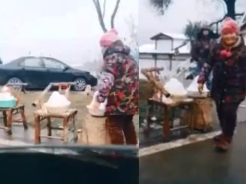 成都大媽賣雪90元一桶 東北網民「受啓發」發大財 網友大讚:我錯過了一個億!!!發大財