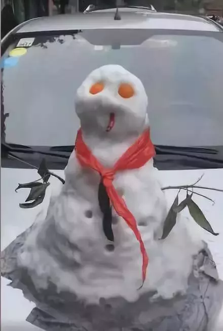 成都大媽賣雪90元一桶 東北網民「受啓發」發大財 網友大讚:我錯過了一個億!!!發大財