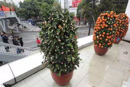 除夕夜做了這九件事,今年必定鴻運當頭,好運一路旺到年尾~