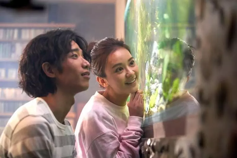 看《比悲傷》哭不出來絕對不是你冷血!女主太渣、男主太廢、牙醫超綠!擠不出眼淚的你肯定很Agree!